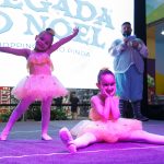 SPP_chegada do noel (9 de novembro) (11)