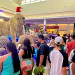 SPP_chegada do noel (9 de novembro) (5)