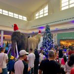 SPP_chegada do noel (9 de novembro) (6)