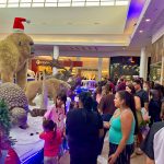 SPP_chegada do noel (9 de novembro) (7)