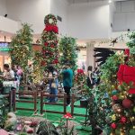 TSC_chegada do noel (8 de novembro) (6).jpg