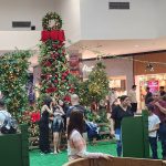 TSC_chegada do noel (8 de novembro) (8).jpg