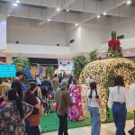 TSC_chegada do noel (8 de novembro) (9).jpg