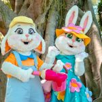 SPP_chegada coelhinho (2)