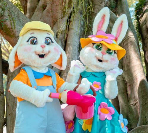 Shopping Pátio Pinda entra no clima da Páscoa com lojas abastecidas e chegada do Coelhinho