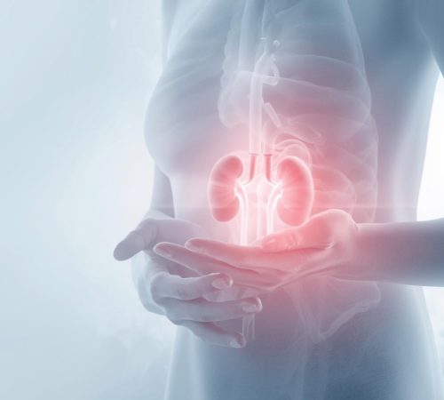 Saúde: Taubaté Shopping recebe ação de conscientização no Dia Mundial do Rim