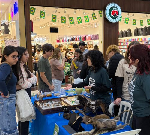 Estudantes levam projetos para celebrar o Dia do Biólogo no Taubaté Shopping