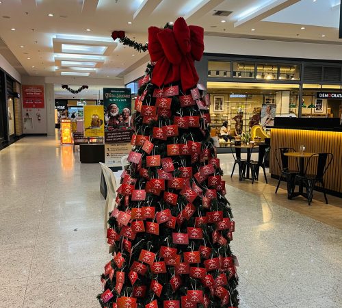 Taubaté Shopping, Rotary e Interact realizam 4ª edição do Natal Solidário na cidade