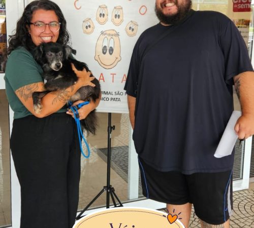 Taubaté Shopping recebe feira de adoção de animais neste sábado (28)